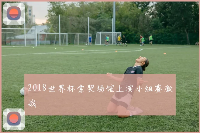 2018世界杯索契场馆上演小组赛激战