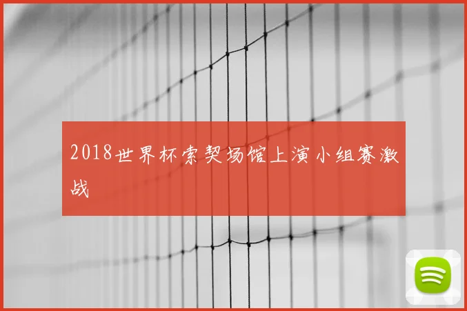 2018世界杯索契场馆上演小组赛激战