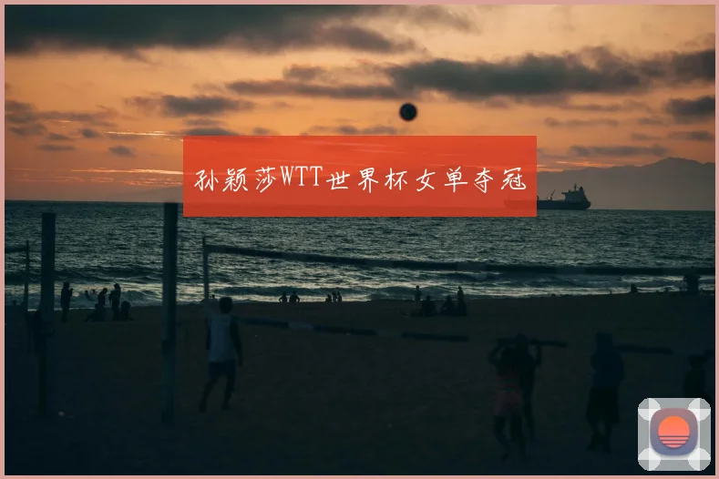 孙颖莎WTT世界杯女单夺冠